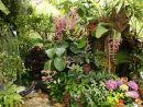 Jardin Fleurs Tropicales dedans Jardines Tropicales