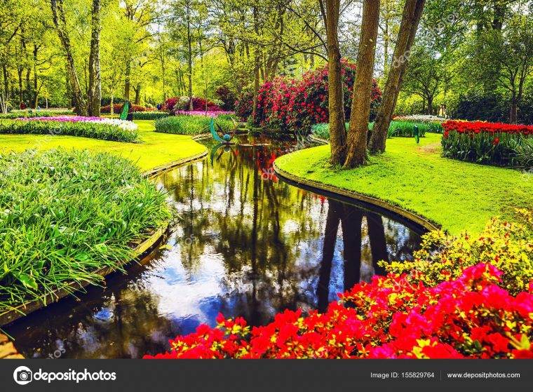 Jardín Floreciente De Europa, Parque De Keukenhof. Países … dedans Jardines De Keukenhof