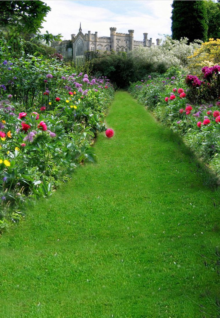 Jardin Flores Planta Grass Antecedentes Park Flor Verano … à Flores De Verano Para Jardin