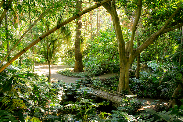 Jardín Histórico – Asociación De Amigos Del Jardín … encequiconcerne La Vuelta Al Mundo En 80 Jardines