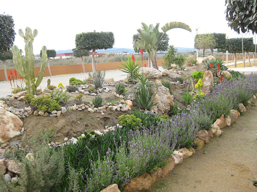 Jardín Ies Mediterráneo: Aromáticas, Sencillamente. (8) avec Jardin De Plantas Aromaticas