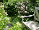 Jardín Inglés: ¿Que Plantas Para Un Jardín Romántico ... dedans Jardines Romanticos