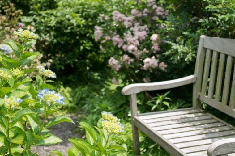 Jardín Inglés: ¿Que Plantas Para Un Jardín Romántico … dedans Jardines Romanticos