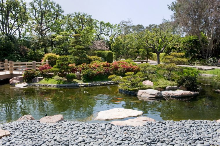 Jardin Japonais : Comment Faire Un Jardin Zen ? Arbuste … tout Que Es Un Jardin Zen