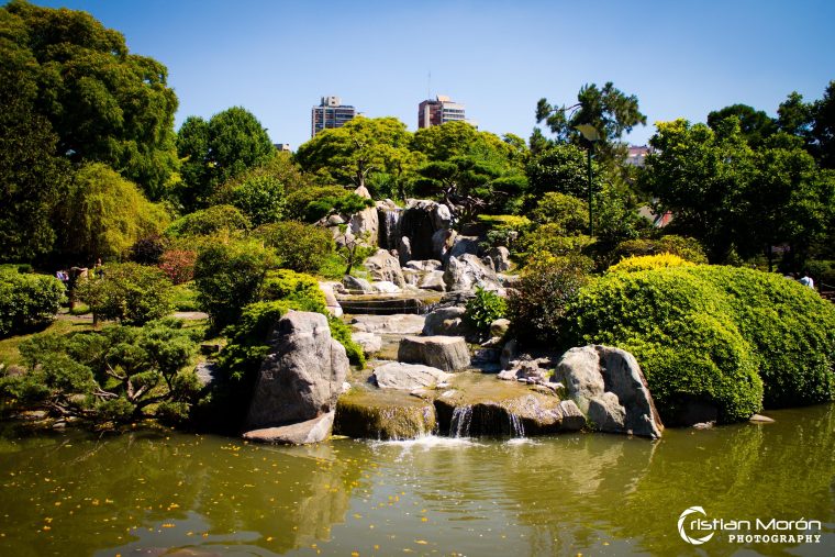 Jardin Japones – Argentina | Jardin Japones, Argentina … dedans Jardin Japones Buenos Aires