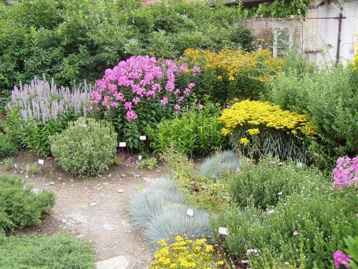 Jardin Mediterraneo – Buscar Con Google Jardin Idees … à Jardin Mediterraneo Diseño