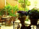 Jardin Secreto Salvador Bachiller, Madrid - Restaurant ... concernant Hotel Jardin Secreto