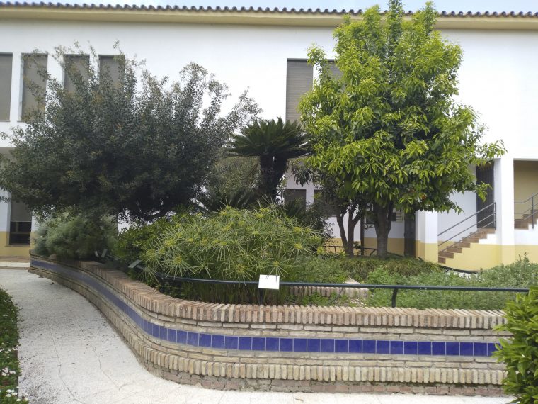 Jardín Tacto Olfativo – Jardín Botánico De Córdoba intérieur Jardin Botanico De Cordoba