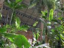 Jardín Tropical Estación Atocha | Jardines Tropicales ... encequiconcerne Jardin Tropical Plantas