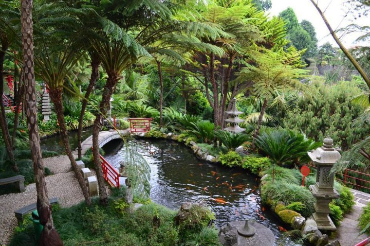 Jardín Tropical Monte Palace tout Jardin Tropical Plantas