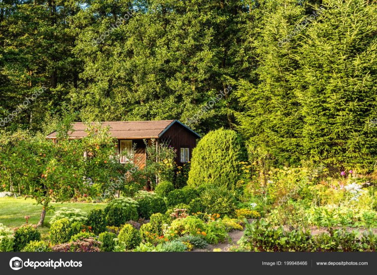 Jardin Verde Bosque | Casa Verano Jardín Verde Sobre … encequiconcerne Jardines Casa De Campo