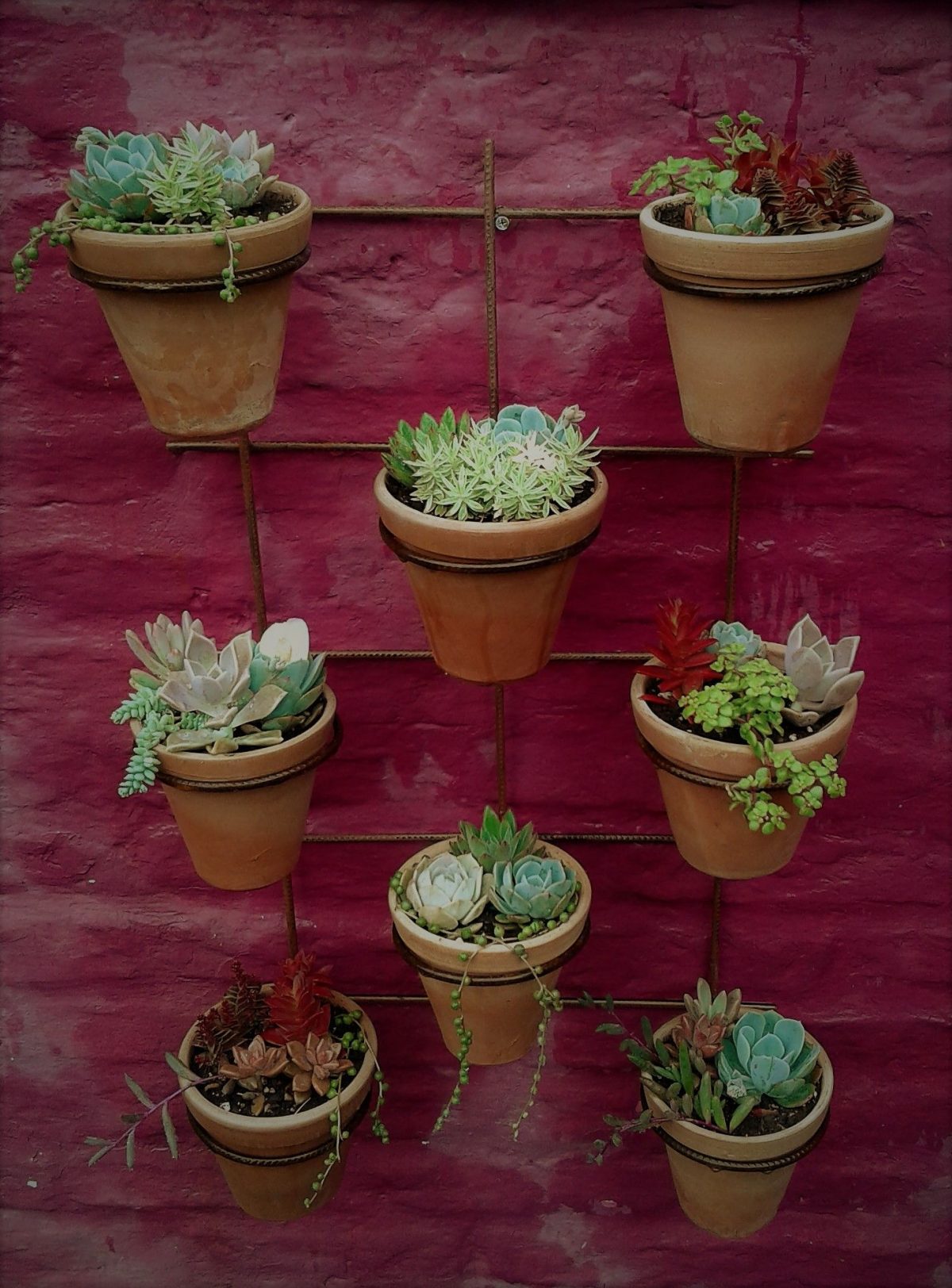 Jardin Vertical Para Aromaticas, Huerta, Suculentas ... concernant Jardines Con Plantas Aromaticas