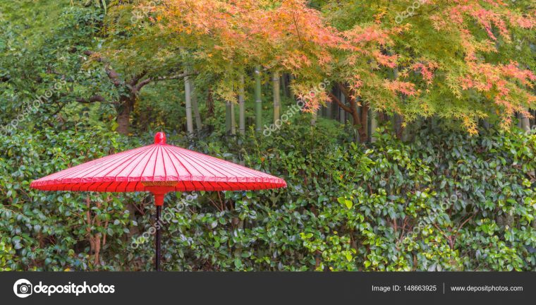 Jardín Zen Japonés Para El Equilibrio De Relajación Y La ... à Jardin Zen Significado