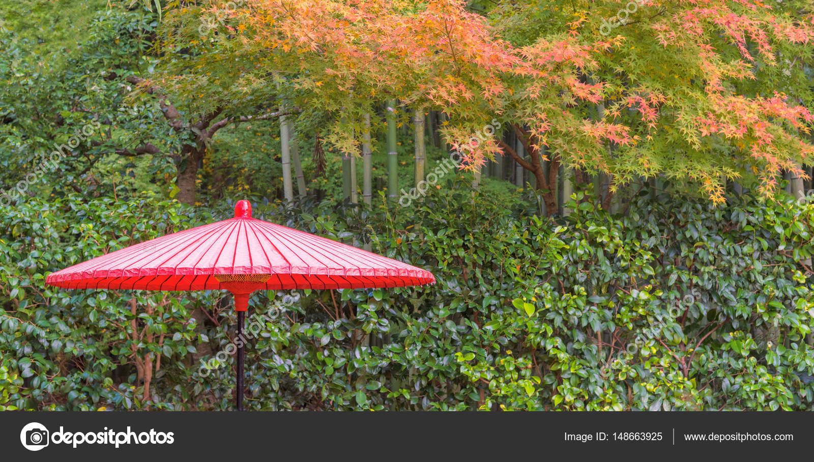 Jardín Zen Japonés Para El Equilibrio De Relajación Y La ... à Jardin Zen Significado