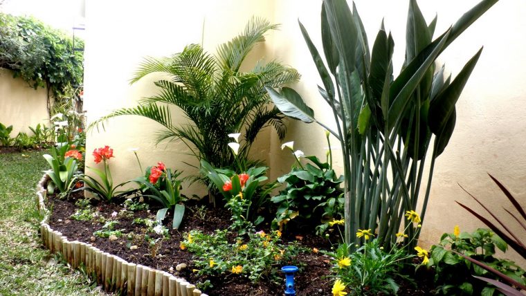 Jardinbio: Jardin Pequeño (Decoracion Terminada Iii) à Como Hacer Un Jardin En Casa Economico