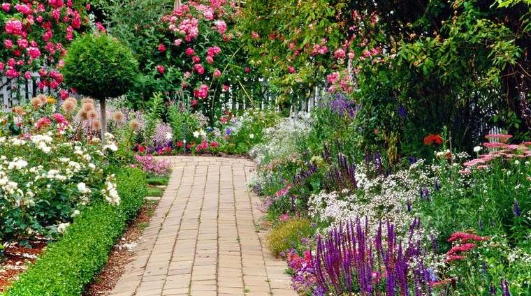 Jardineria: 5 Flores De Primavera Bellísimas serapportantà Jardines Con Flores