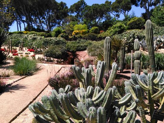 Jardines Cap Roig encequiconcerne Jardin Botanico Cap Roig