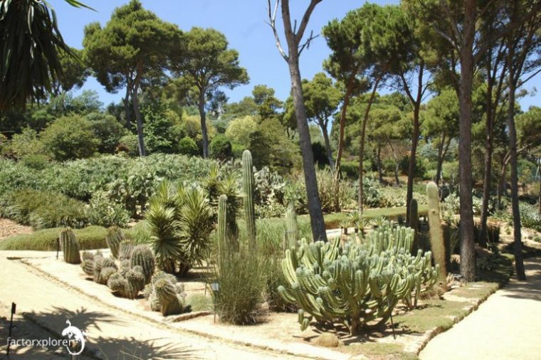 Jardines De Cap Roig, Calella De Palafrugell (Girona, España) à Jardines De Cap Roig