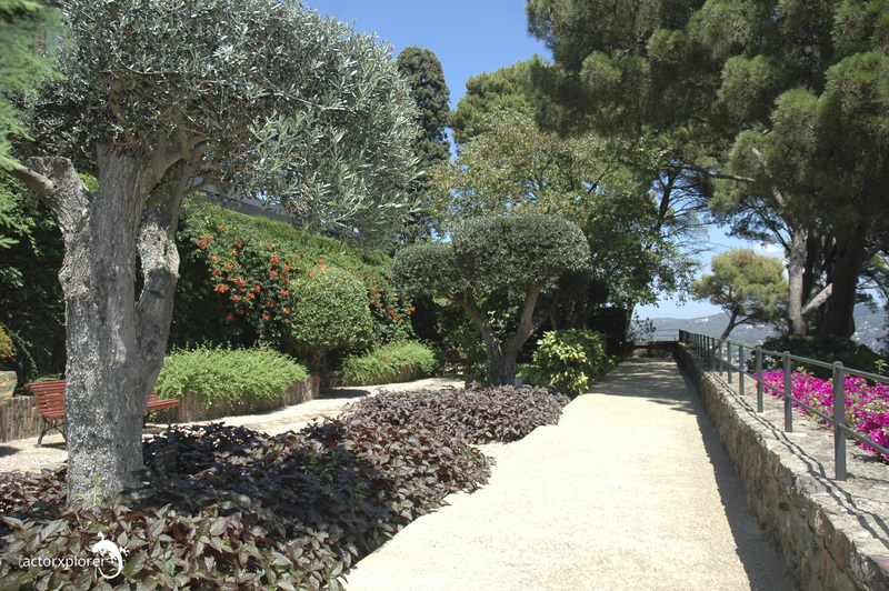 Jardines De Cap Roig, Calella De Palafrugell (Girona, España) intérieur Jardin Botanico Cap Roig