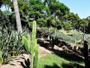 Jardines De Cap Roig En Calella De Palafrugell - Red Costa ... pour Jardin Botanico Cap Roig