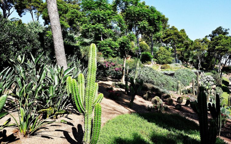Jardines De Cap Roig En Calella De Palafrugell – Red Costa … pour Jardin Botanico Cap Roig