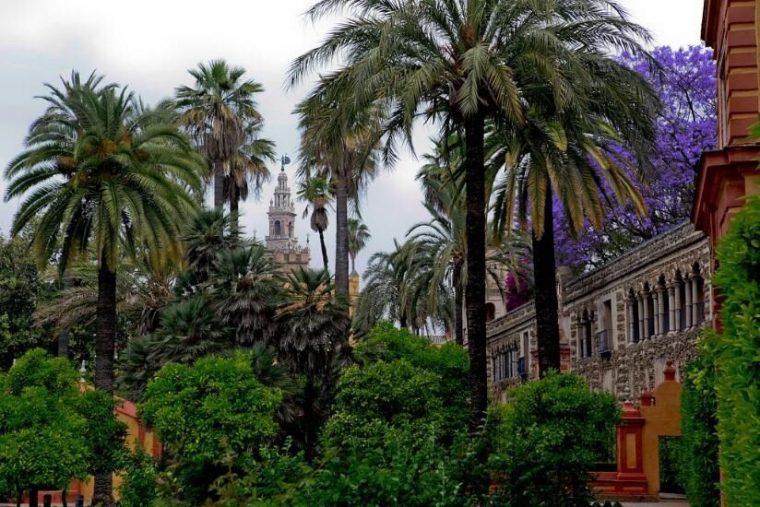 Jardines De El Alcazar. Sevilla | Sevilla, Andalucia España encequiconcerne Jardines Alcazar Sevilla