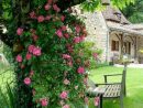 Jardines De Ensueño - Ideas Para Un Ambiente De Cuento De ... pour Jardines Romanticos