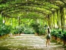 Jardines De España Para Abrazar La Primavera | Guía Repsol tout Imágenes De Jardines