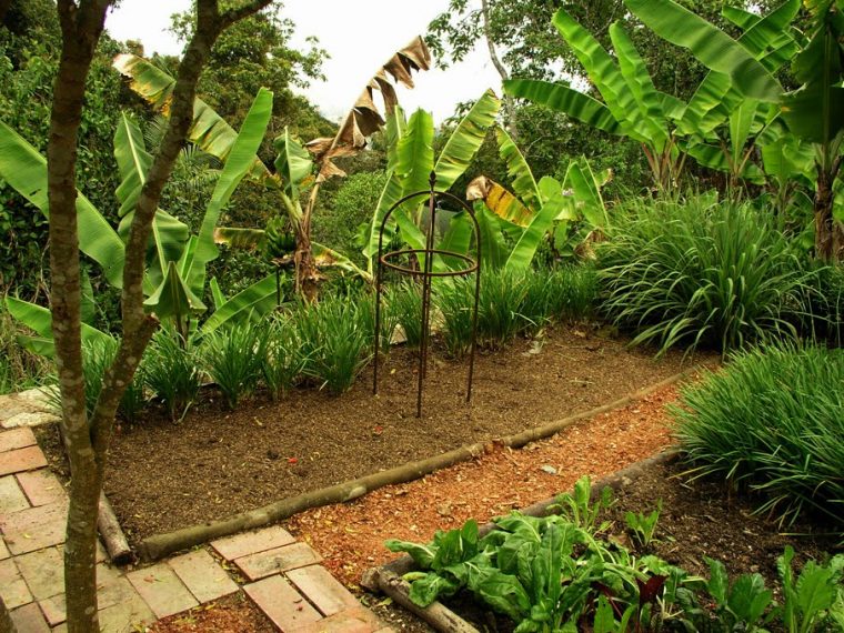 Jardines De Gaia/ Jardín Botánico Topotepuy En Evolución … pour Jardin De Plantas Aromaticas
