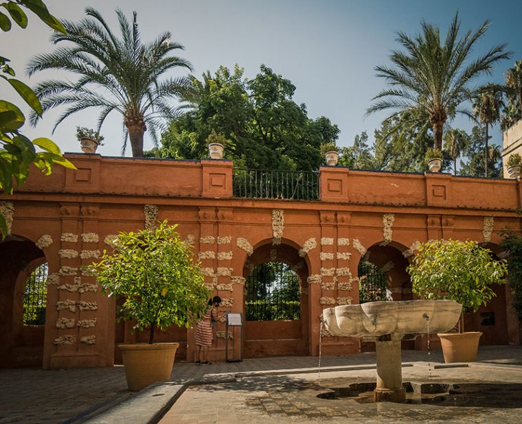 Jardines Del Alcázar De Sevilla ⚜ Alcazar Seville Tour à Jardines Alcazar Sevilla