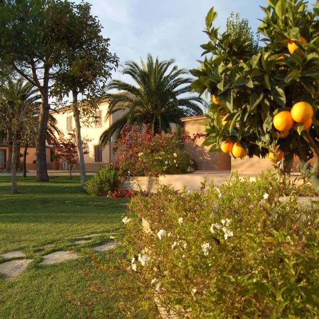 Jardines: Ideas, Diseños E Imágenes | Homify | Jardines ... dedans Jardines Mediterraneos Fotos