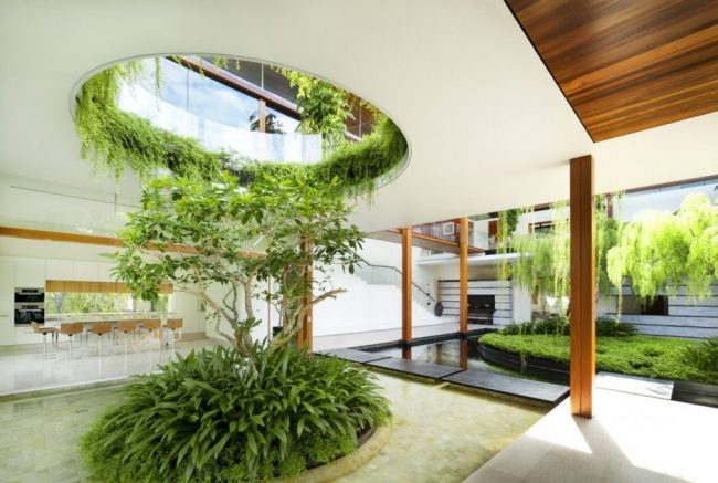 Jardines Interiores Modernos - Fotos Y Consejos De Diseño dedans Diseño Jardines Para Casas