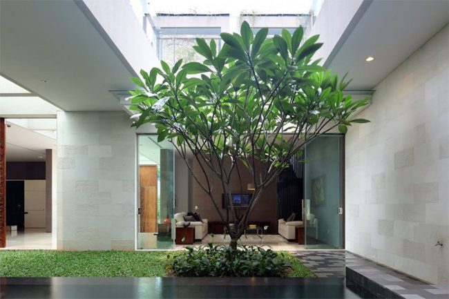 Jardines Interiores Modernos – Fotos Y Consejos De Diseño serapportantà Jardines Interiores Pequeños