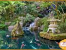 Jardines Japoneses - encequiconcerne Jardines Japoneses Fotos