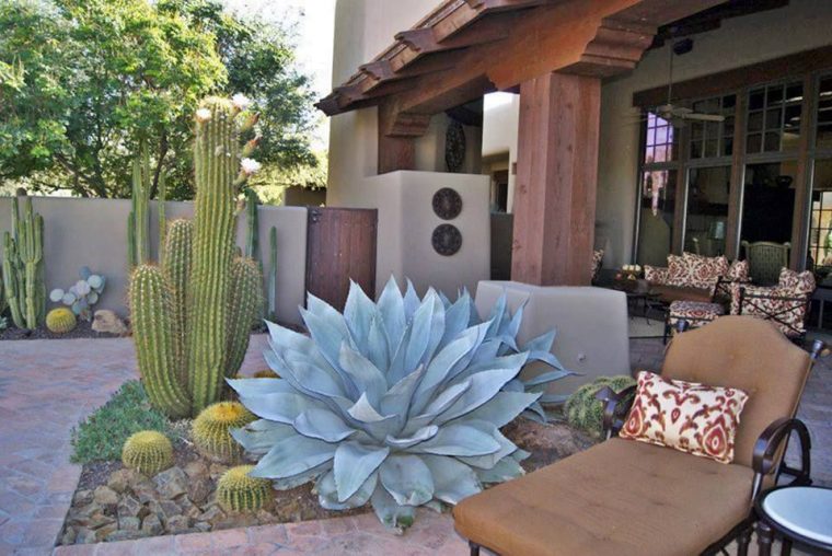 Jardines & Patios De Cactus | Arizona Backyard Landscaping … à Jardin De Cactus En Casa