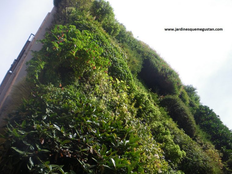 Jardines Que Me Gustan: Retrospectiva Del Jardín Vertical … tout Jardin Vertical Caixa Forum