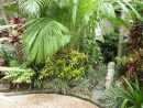 Jardines Tropicales | Plantas tout Jardines Tropicales