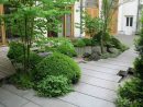 Jardines Zen Como Inspiración pour Imagenes Jardines Zen
