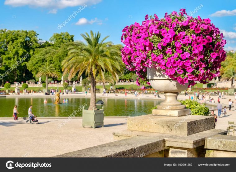 Jardins Do Luxemburgo Em Paris — Stock Photo © Kmiragaya … avec Jardin De Luxemburgo