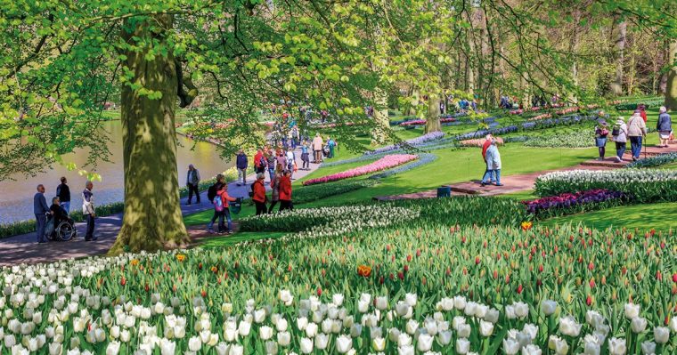 Keukenhof, El Jardín Más Bello Está En Holanda (Y Dura … destiné Jardines De Holanda