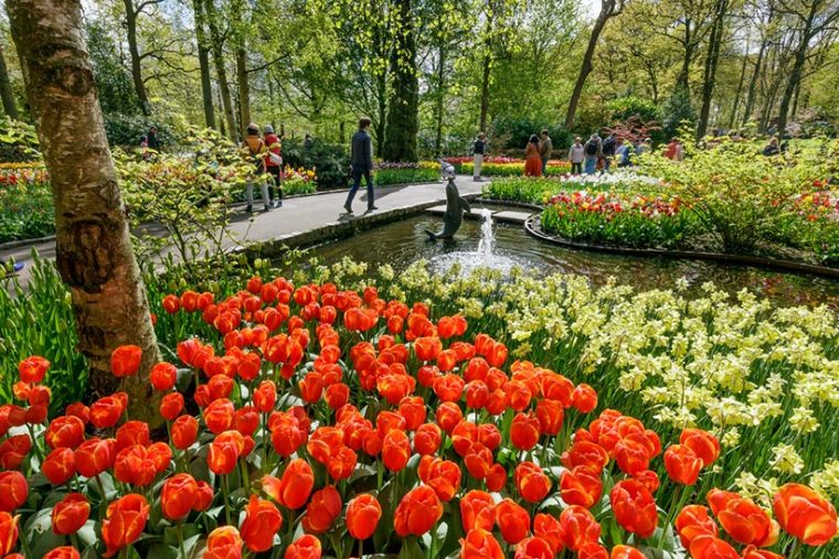 Keukenhof, El Jardín Más Colorido De Europa En Primavera … concernant Jardines De Keukenhof