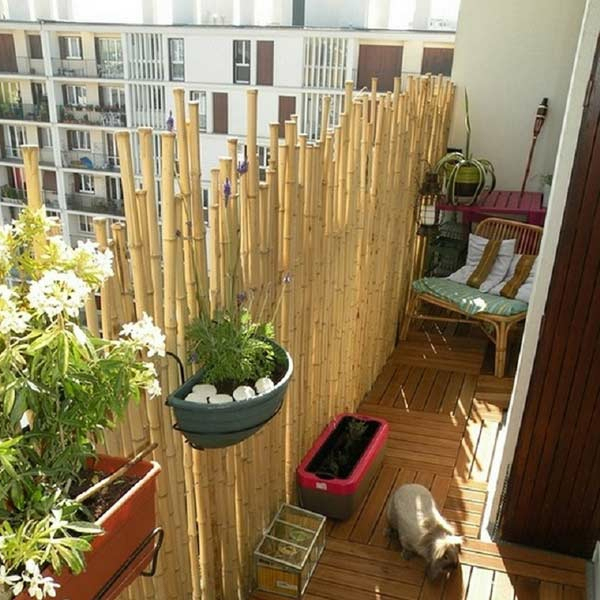 La Canisse Bambou - Une Clôture De Jardin Jolie Et ... concernant Kiosque En Bambou Pas Cher