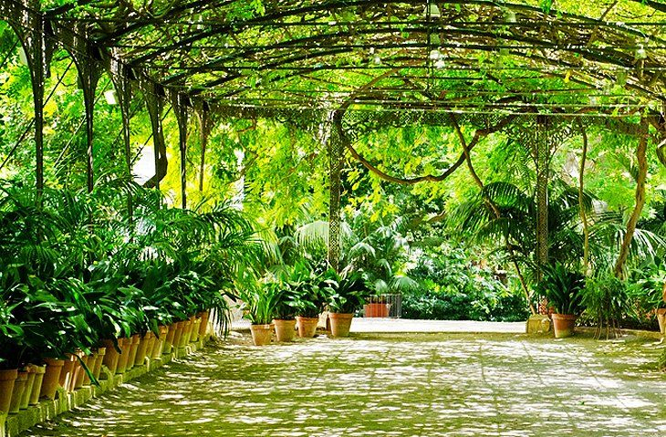 La Concepcion Jardin Botanico (Botanical Gardens) | Most ... encequiconcerne Jardin Botanico La Concepcion
