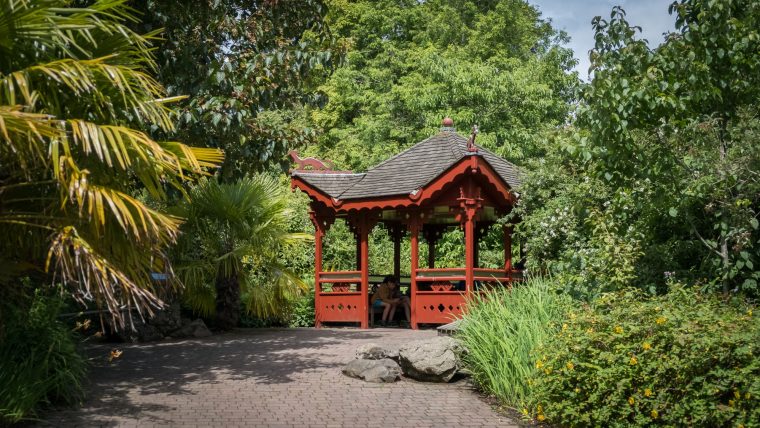 La Ladera China Del Real Jardín Botánico De Edimburgo … intérieur Jardin Botanico Edimburgo