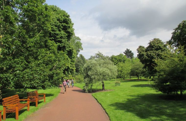 La Ladera China Del Real Jardín Botánico De Edimburgo … serapportantà Jardin Botanico Edimburgo