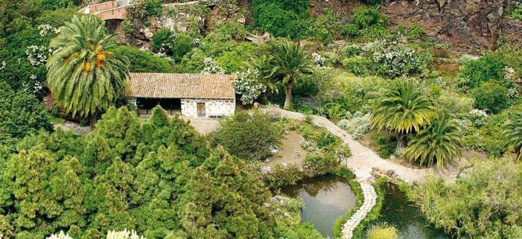 La Magia Del Jardín Botánico | España | El Mundo destiné Jardin Canario Gran Canaria