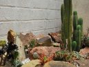 Landscaping With Cactus And Rocks Beautiful 446 Best ... encequiconcerne Jardines Con Cactus Y Piedras