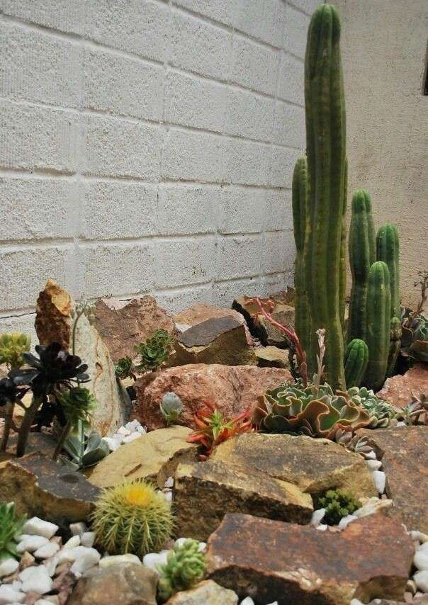Landscaping With Cactus And Rocks Beautiful 446 Best ... encequiconcerne Jardines Con Cactus Y Piedras