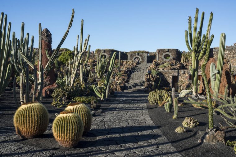 Lanzarote Recibe El Premio Carlo Scarpa Concedido Por La … tout Jardin Cactus Lanzarote