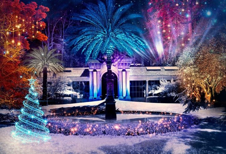 Las Luces De Navidad Transforman El Jardín Botánico encequiconcerne Jardin Botanico Madrid Horario